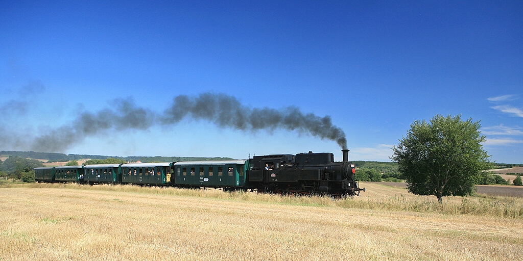 Bejček ř. 423-0146-0